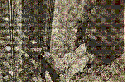 Titel: Title - Beschrijving: Description